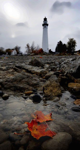The Rocky Coast